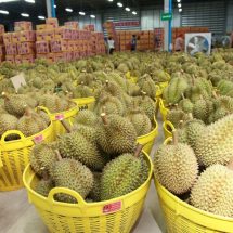 ผลไม้ไทยโลดแล่นในเทศกาลช้อปปิ้งกลางปีของอาลีบาบา