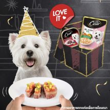 ซีซาร์อาหารสุนัข กวาดกระแสโซเชียลในวัน World Dog Day