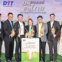 “มหัศจรรย์ข้าวไทย ความภูมิใจแห่งท้องทุ่ง” รณรงค์บริโภคข้าวไทยหลากหลายคุณประโยชน์