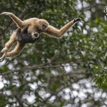 4 ตุลาคม ‘ วันสัตว์โลก’