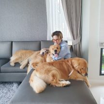 “จุ๊มเหม่งมีอารายยยย” ส่งคอนเทนต์ ฮีลใจคนรักสุนัข