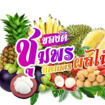 งาน “ของดีชุมพร มหานครผลไม้ ” ประจำปี 2566