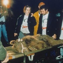 จากสัตว์ตัวแรก… สู่พันล้านชีวิต World Animal Protection 75 ปีที่เราไม่ทิ้งกัน