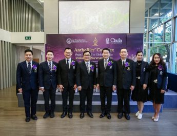 จุฬาฯ-มหิดล ผนึกกำลังสร้างนวัตกรรมเวชสำอางจากข้าวไรซ์เบอร์รี่ไทยถ่ายทอดเทคโนโลยี “AnthoRice™ Complex” เตรียมทดสอบทางคลินิกที่ศิริราช Q1/2569